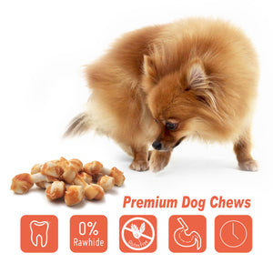 LuvChew Rawhide Free Knotted Bones with Chicken Flavor - Mini